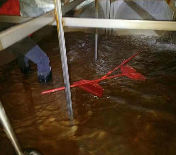 二次清洗水箱消毒方法