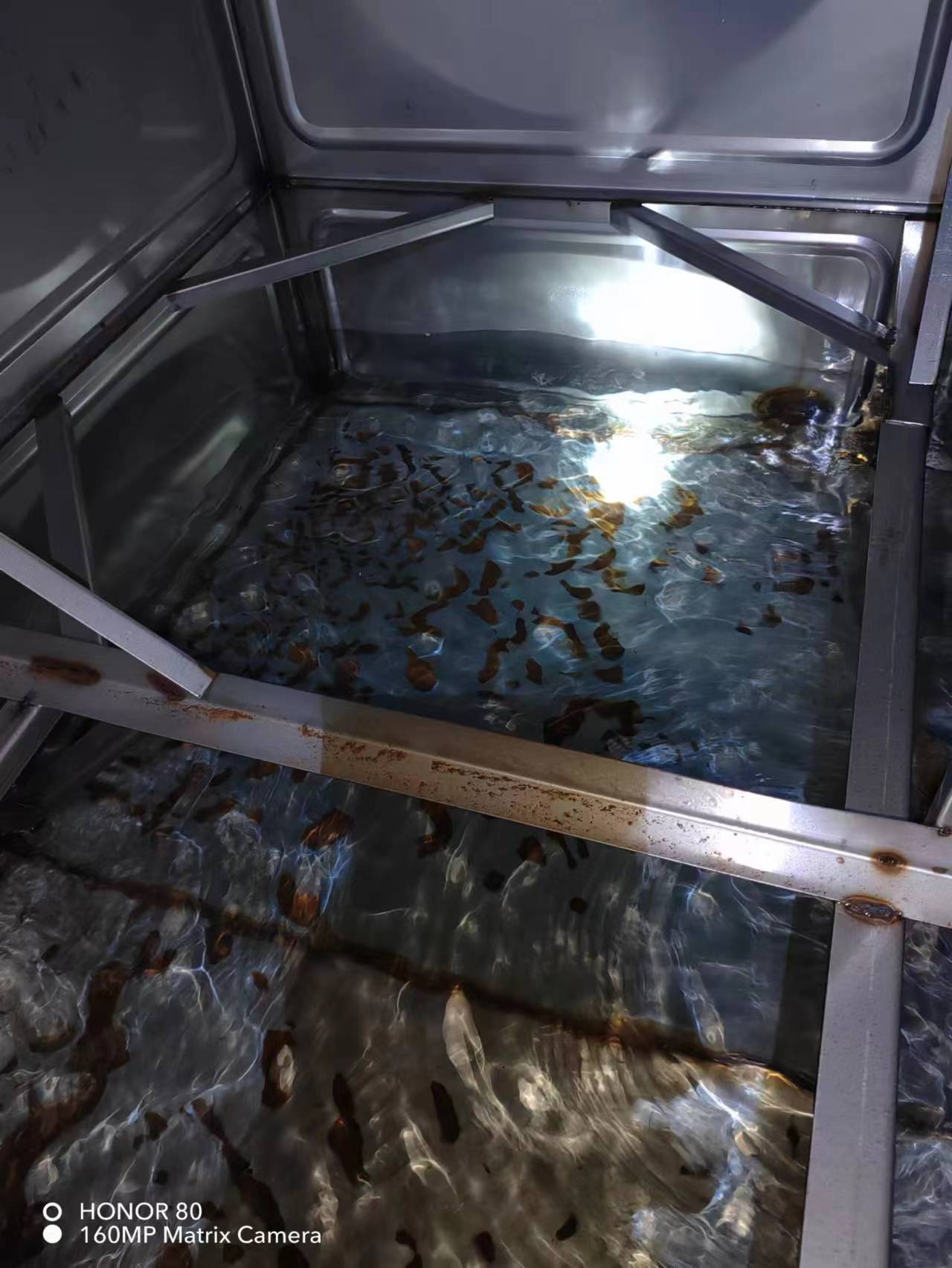 青浦徐泾清洗水箱 青浦徐泾工业区水箱清洗